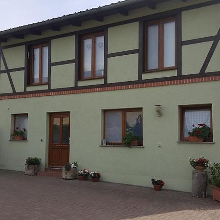 Ferienhaus Am Stadtpark Ballenstedt Esterno foto